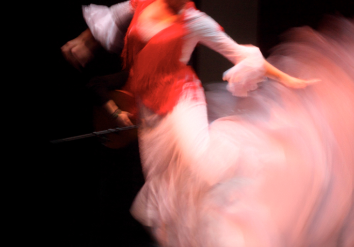 Imagen principal del artículo El garrotín: una joya del flamenco en Teatro Flamenco Granada