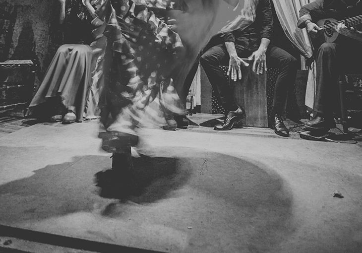 Imagen principal del artículo El jaleo flamenco: pasión compartida en el escenario