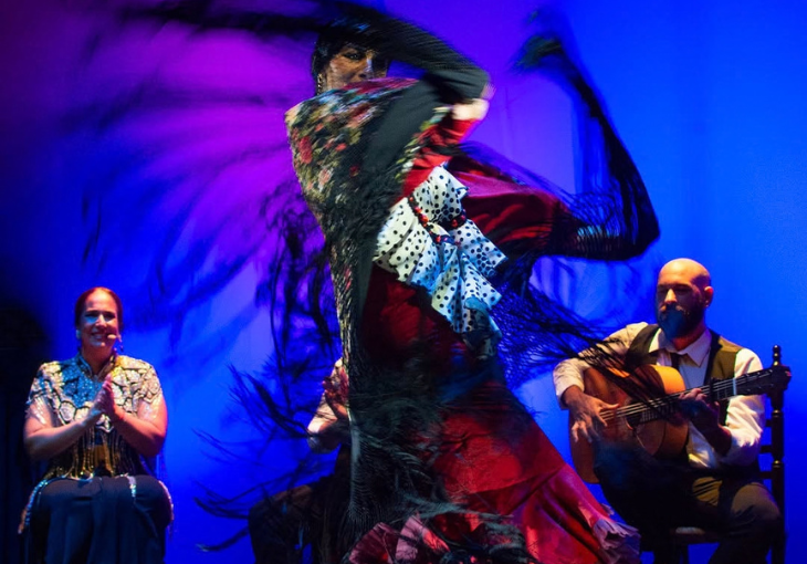Imagen principal del artículo ¿Por qué cada espectáculo flamenco en Granada es una experiencia diferente?