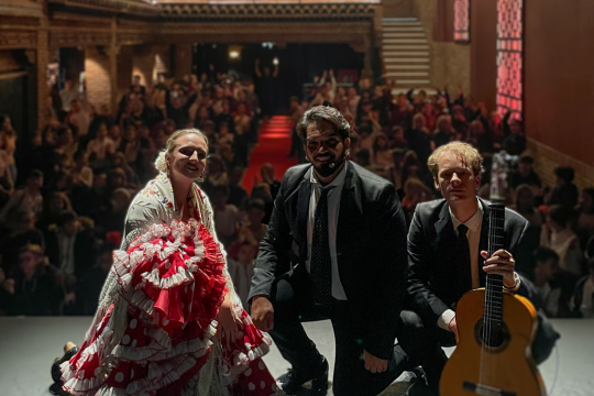 Imagen principal del artículo Teatro Flamenco Granada acerca el flamenco a las nuevas generaciones con motivo del Día Internacional del Flamenco